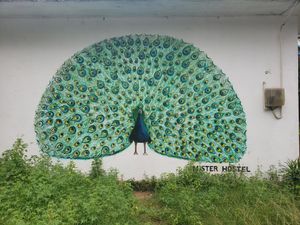   at Mister Hostel in Mirissa