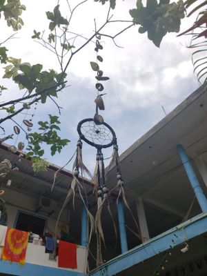   at Mister Hostel in Mirissa