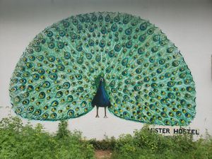   at Mister Hostel in Mirissa