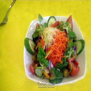 A delicious, beautifully presented salad served at Restaurante Vegetariano, Torrevieja, Costa Blanca, Spain at Beet Vegetariano in Torrevieja