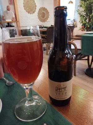 Cerveza vegana artesanal tostada at Hakuna Matata Veggie in Madrid