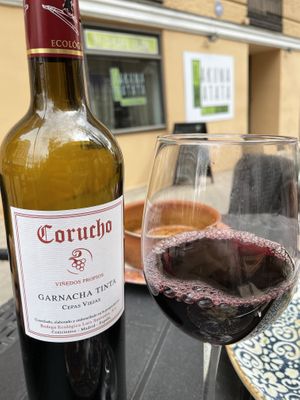 Wine  at Hakuna Matata Veggie in Madrid