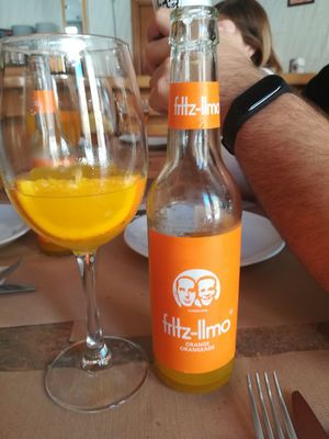 Fritz drinks at Hakuna Matata Veggie in Madrid