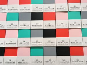 Neon kactus personalised cups  at Marwick's Vegan Kitchen in Dundee