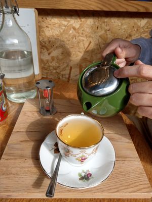   at The Wildcat in Fort William