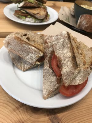   at The Wildcat in Fort William