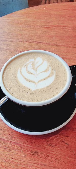  at The Wildcat in Fort William