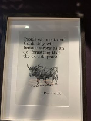   at The Wildcat in Fort William