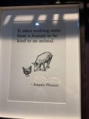   at The Wildcat in Fort William