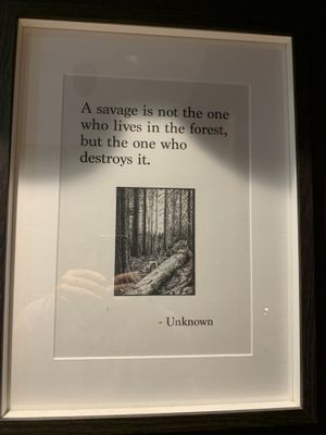   at The Wildcat in Fort William