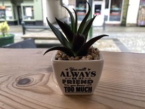   at The Wildcat in Fort William