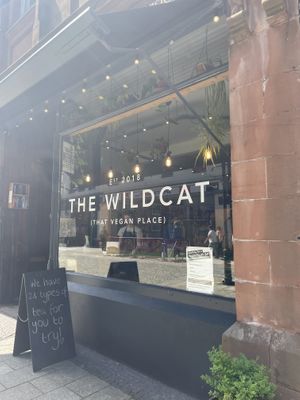 store front   at The Wildcat in Fort William