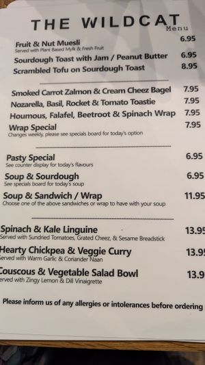 July 2024 menu at The Wildcat in Fort William