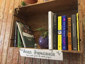 Vegan books shelf at The Wildcat in Fort William