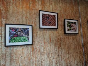 Cool vibe at The Wildcat in Fort William