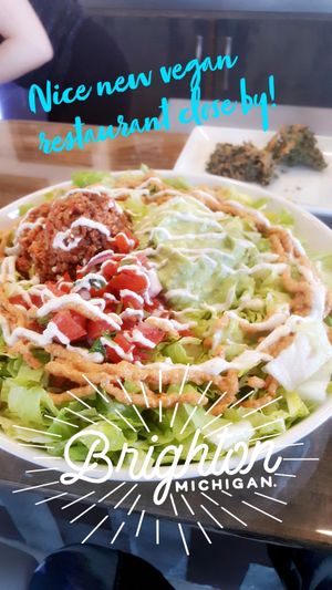 Huge Salads! at The Fuel in Brighton