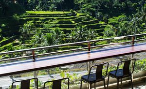 Enjoy the incredible view from our cafe to the rice terraces. at by Cafe in Tegallalang