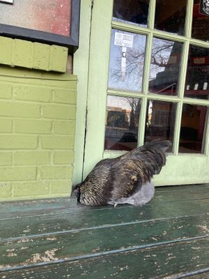  #Veganuary at Red Cup Coffee House in Oklahoma City