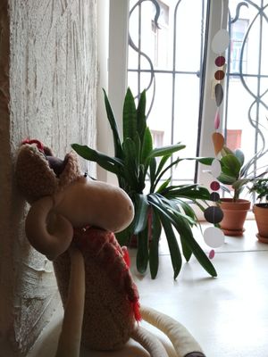 The interior at Cup Coffee and Tea in Vyborg