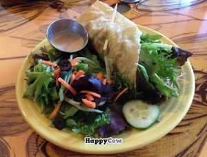 Gluten Free Vegan Veggie Wrap - Twisted Tree Cafe at Twisted Tree Cafe in Asbury Park