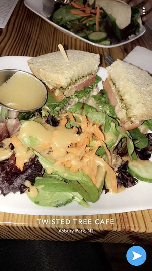 Gourmet grilled cheese with side salad  at Twisted Tree Cafe in Asbury Park