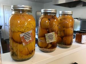 Salted oranges at Lala's Jam Bar and Urban Farmstand in Petaluma