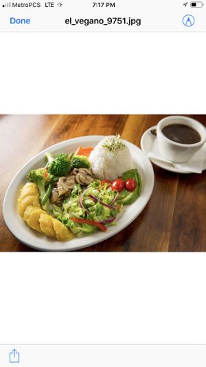 El Vegano, Dominican Macro Bowl with avocado, sautéed mushrooms, sautéed vegetables, boiled sweet plantain, rice, beans and salad  at Puerto Viejo in Brooklyn