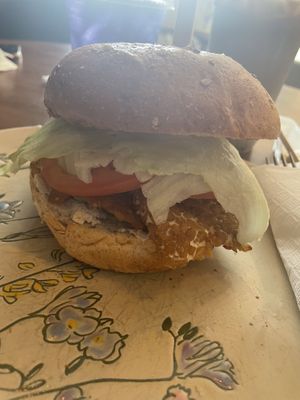 VLT  at Terra Cafe in Monroe