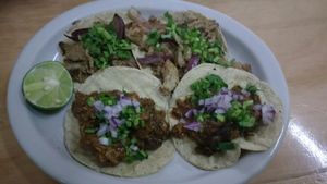 variety of vegan tacos at Vege Taco in Mexico City