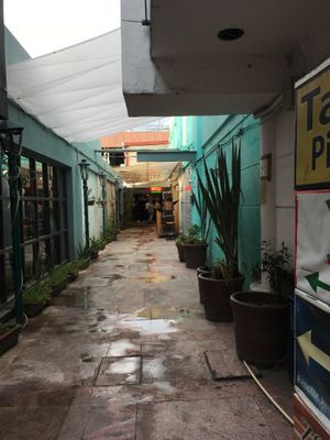 Walk down this alley  at Don Andres Taqueria Vegana in Mexico City