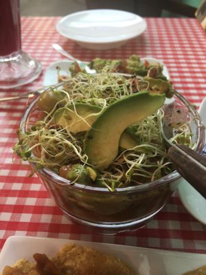 Ceviche at Don Andres Taqueria Vegana in Mexico City
