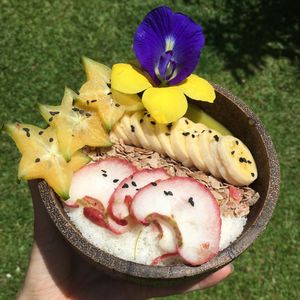Jungle green smoothie bowl- delicious at Shady Lane in Mirissa