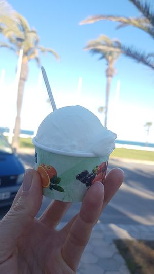 Helado vegano del dia, de limón at Soma Bistro in La Pineda