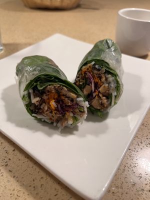 spring rolls   at The Sun Vegan in Fountain Valley