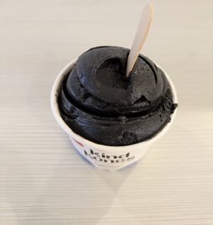 Charcoal Vanilla at Kind Kones - Bangsar Village in Kuala Lumpur