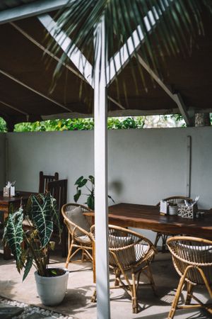 The front garden at Nomad Cafe.  at Nomad Café | Boutique in Weligama