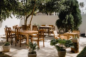 The front garden at Nomad Cafe.  at Nomad Café | Boutique in Weligama