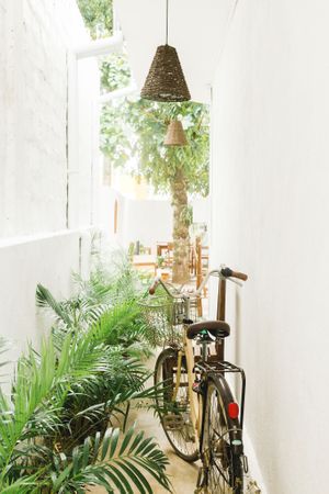 The side garden at Nomad.  at Nomad Café | Boutique in Weligama