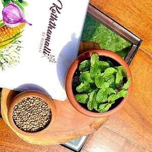  at Koththamalli by Rohan in Negombo