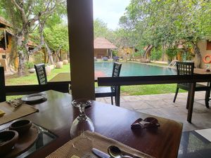 Setting at Koththamalli by Rohan in Negombo