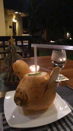 Cocopig  at Koththamalli by Rohan in Negombo