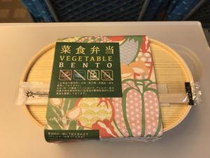 Bento at Ekibenya in Tokyo