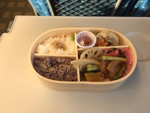 Bento at Ekibenya in Tokyo