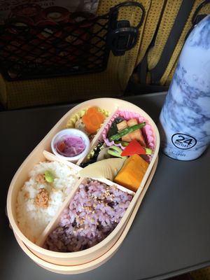 vegan bento at Ekibenya in Tokyo