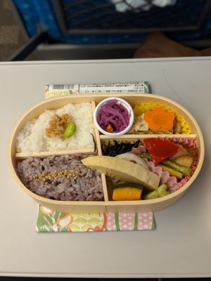 Bento contents - two types of rice, veges, soy meat, pickled cabbage and some sort of vegan omelette (amazing!) at Ekibenya in Tokyo