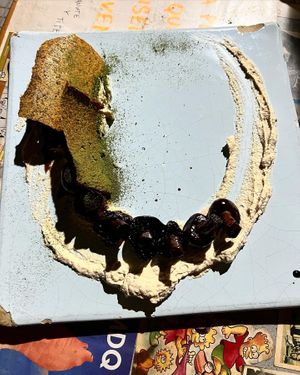  #Veganuary at Donnet in Buenos Aires