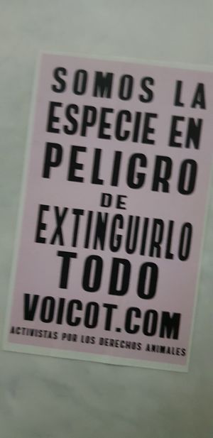 , at Donnet in Buenos Aires