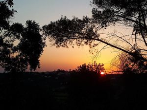 The pure nature around Casa Divina, surrounded by beautiful views, enchants you with its silence and magic. at Casa Divina in Pisa