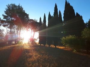 The pure nature around Casa Divina, surrounded by beautiful views, enchants you with its silence and magic. at Casa Divina in Pisa