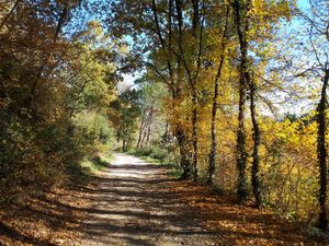 The pure nature around Casa Divina, surrounded by beautiful views, enchants you with its silence and magic. at Casa Divina in Pisa